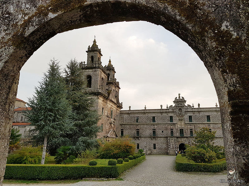 MOSTEIRO DE OSEIRA. MONASTERIO DE OSEIRA