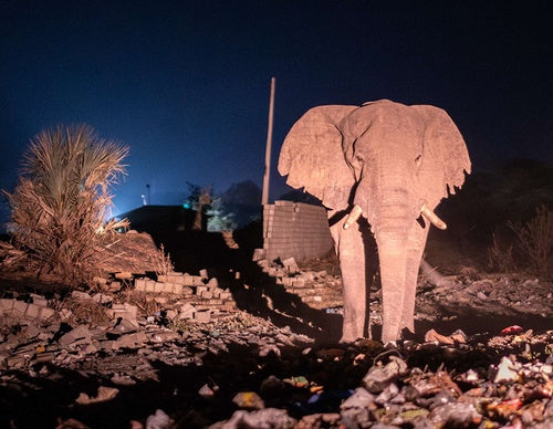 WORLD PRESS PHOTO 2025