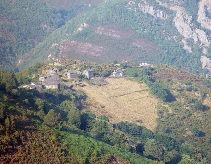 INFORME SOBRE LOS OSCOS