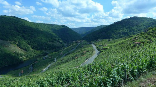 A ULFE.  SOCIOLOXÍA DUNHA COMUNIDADE RURAL GALEGA