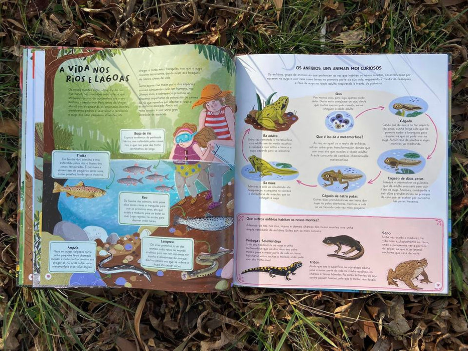 O GRAN LIBRO DOS NOSOS MONTES