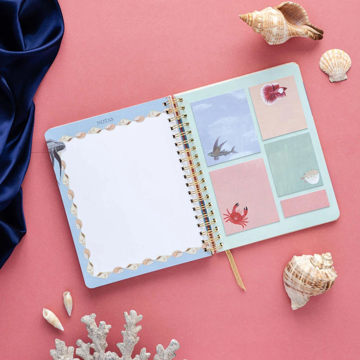 AGENDA ANUAL SEMANAL 2024 BRIANDA