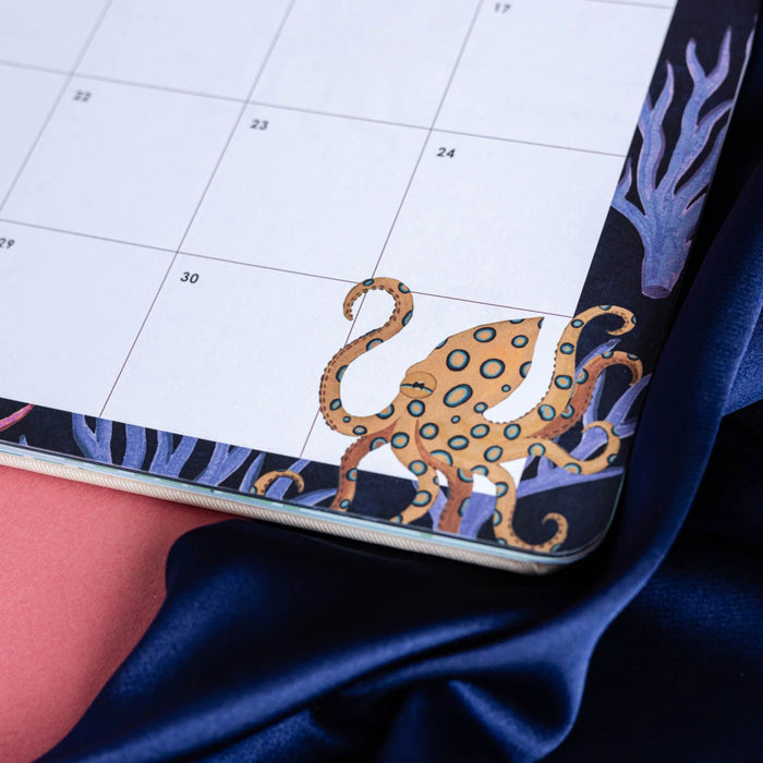 AGENDA ANUAL SEMANAL 2024 BRIANDA