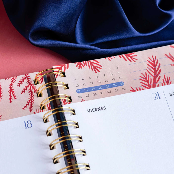 AGENDA ANUAL SEMANAL 2024 BRIANDA