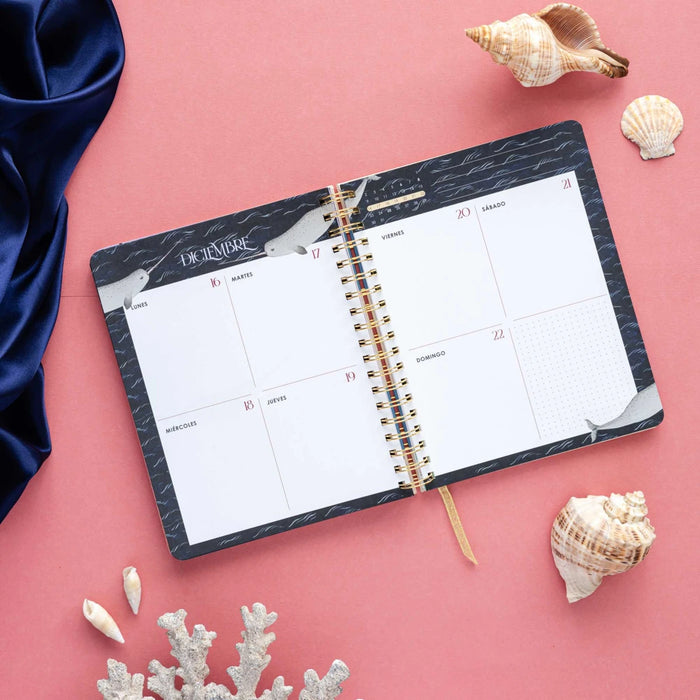 AGENDA ANUAL SEMANAL 2024 BRIANDA