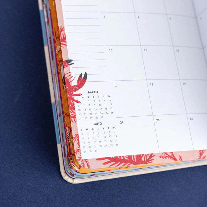 AGENDA ANUAL BOLSILLO 2024 BRIANDA