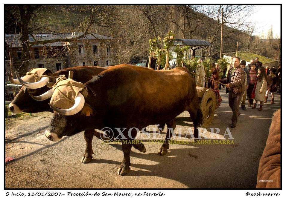 UN ANO NO CARBALLAL. DENDE A VIDA TRADICIONAL AOS NOVOS TEMPOS NO COUREL