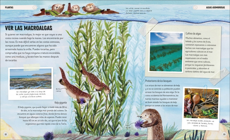 OCÉANOS INCREÍBLES