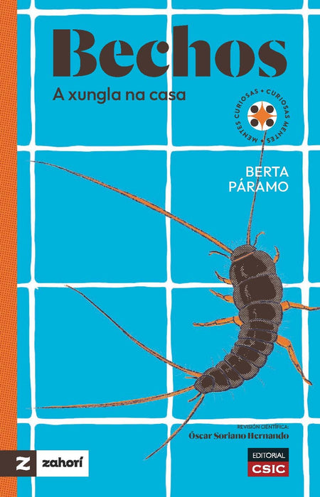 BECHOS: A XUNGLA N CASA