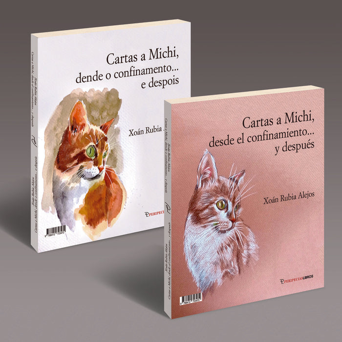 CARTAS A MICHI DESDE EL CONFINAMIENTO Y DESPUES