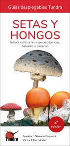 SETAS Y HONGOS.