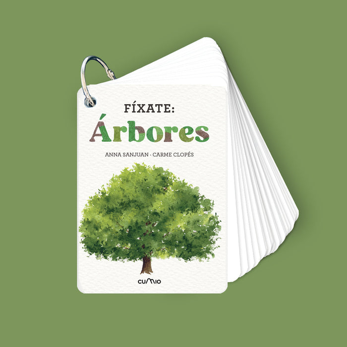 ÁRBORES