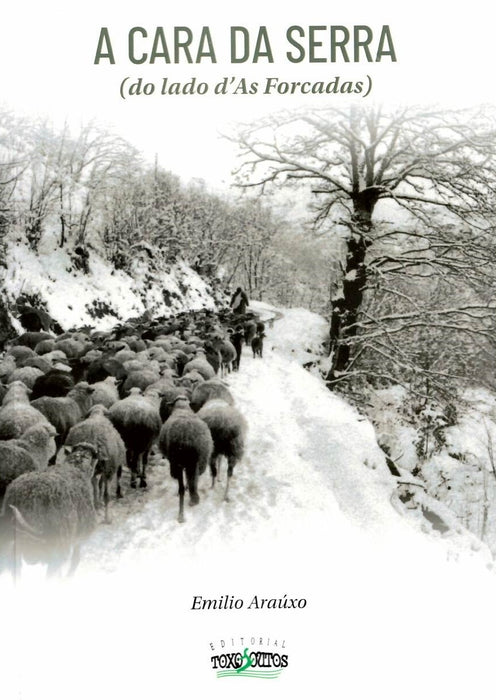 A CARA DA SERRA