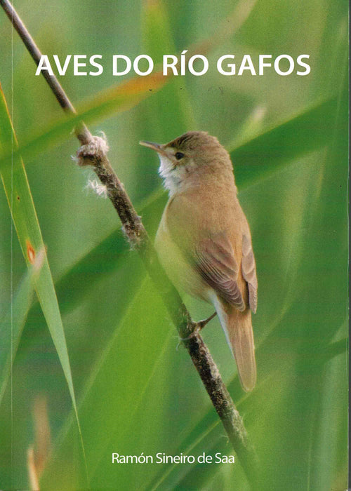 AVES DO RIO GAFOS -2017