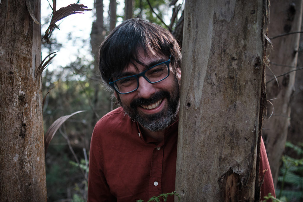 OS EUCALIPTOS LEVAN O LUME DENTRO