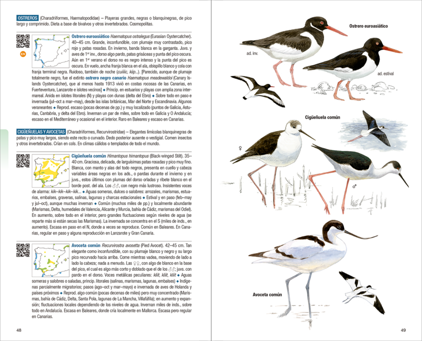 AVES DE ESPAÑA