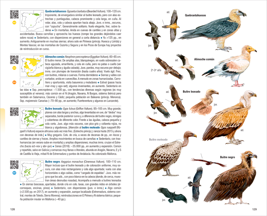 AVES DE ESPAÑA