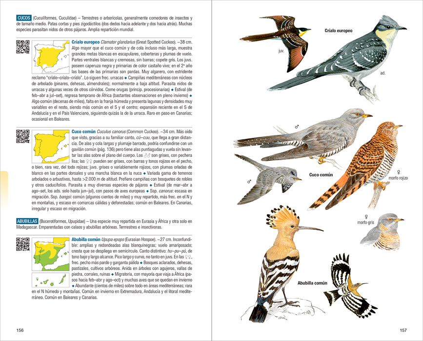 AVES DE ESPAÑA