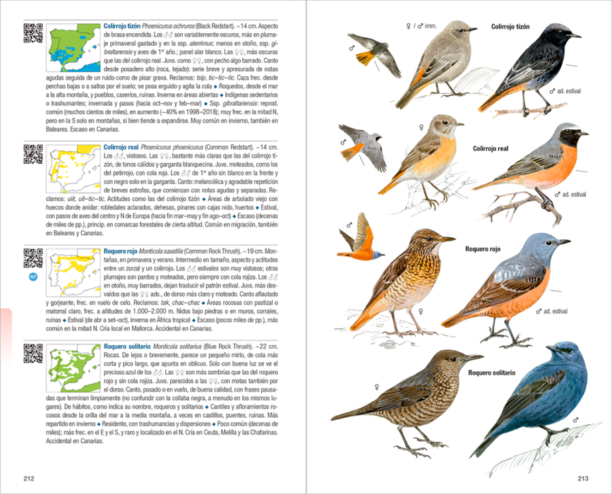 AVES DE ESPAÑA