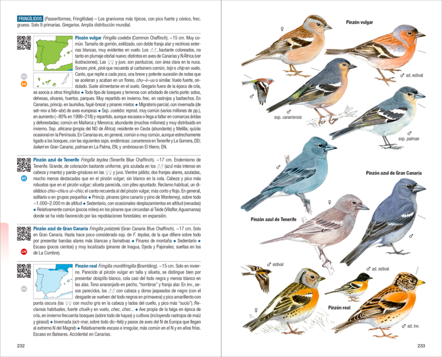 AVES DE ESPAÑA