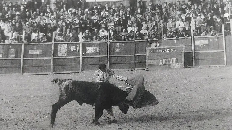 RETRATO DE MONFORTE