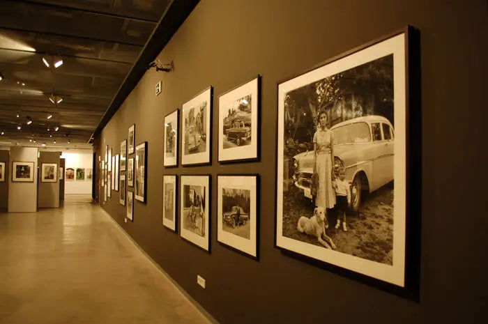 VIRXILIO VIEITEZ (Edición en Galego)