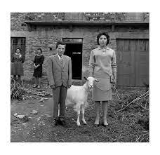 VIRXILIO VIEITEZ (Edición Castellano)