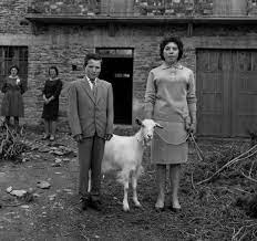 VIRXILIO VIEITEZ (Edición en Galego)