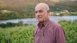 O RIBEIRO. O VIÑO DA CULTURA, A CULTURA DO VIÑO