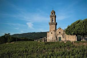 VINO Y VITICULTURA EN LA GALICIA MEDIEVAL: (SIGLOS IX-XIV)
