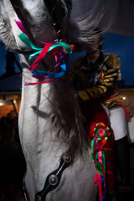 VIVA¡ OS XENERAIS DA ULLA