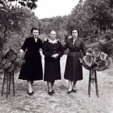 VIRXILIO VIEITEZ (Edición en Galego)