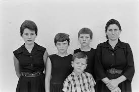 VIRXILIO VIEITEZ (Edición Castellano)