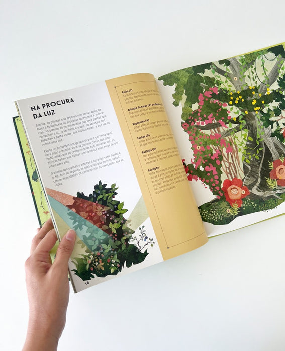 A LINGUAXE DAS PLANTAS