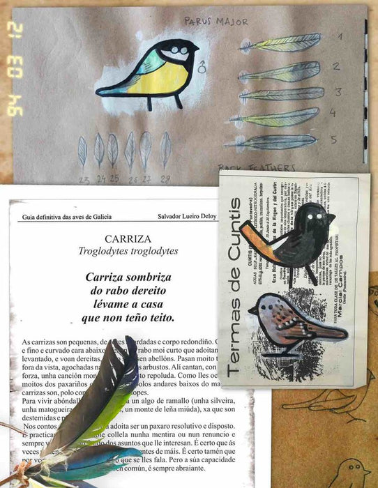 GUÍA DEFINITIVA DAS AVES DA GALIZA