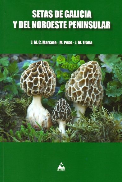 SETAS DE GALICIA Y DEL NOROESTE PENINSULAR