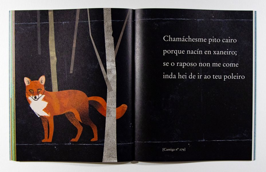 PEQUENA FAUNA DO CANTIGUEIRO DE COTOBADE