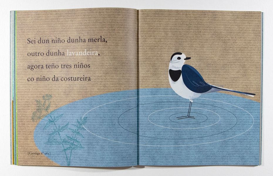 PEQUENA FAUNA DO CANTIGUEIRO DE COTOBADE