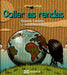 COLLER AS RENDAS
