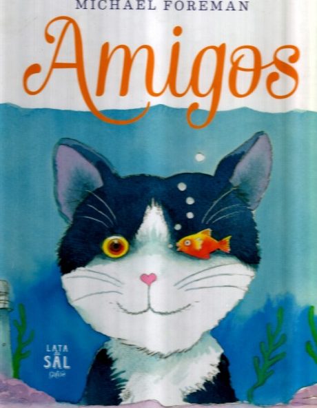 AMIGOS