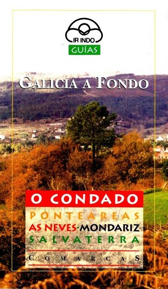 O CONDADO. PONTEAREAS. AS NEVES. MONDARIZ. SALVATERRA