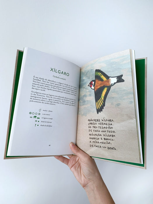GUÍA DEFINITIVA DAS AVES DA GALIZA