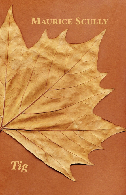 Image Alt Text