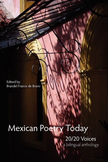 Image Alt Text