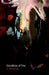 Image Alt Text
