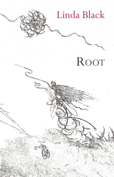 Image Alt Text