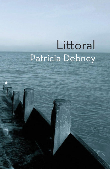 Image Alt Text