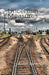 Image Alt Text