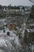 Image Alt Text