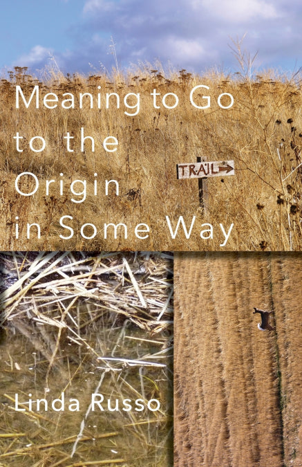 Image Alt Text